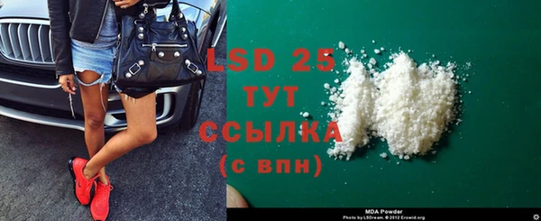 прущие грибы Аркадак
