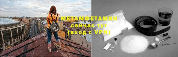 прущие грибы Аркадак