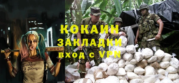 стафф Арсеньев