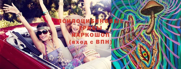 стафф Арсеньев